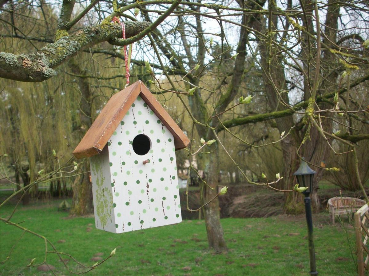 Moulin De Moxhe Micro Gite Et Gite - Bed & Dreams Eksteriør bilde